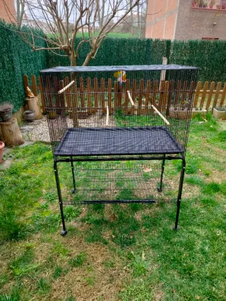 Jaula PawHut para Pájaros con Divisor