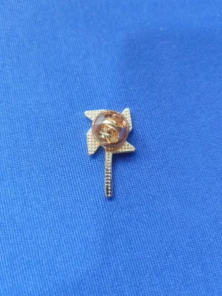 Pin Molinillo de Viento