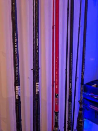 Cañas de pescar Daiwa