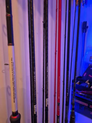 Cañas de pescar Daiwa