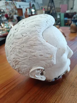 Escultura cabeza masculina