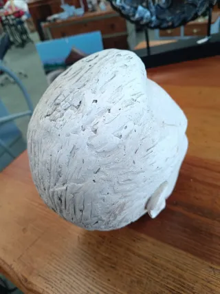 Escultura cabeza masculina