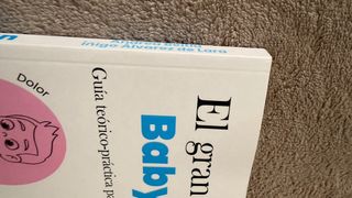 El gran libro de Baby Sign