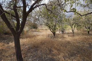 Terreno en venta en Berja