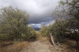 Terreno en venta en Berja