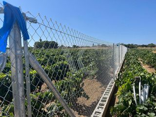 Terreno en venta en Núcleo Urbano en Chiclana de la Frontera