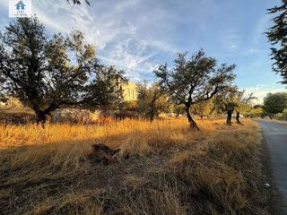 Terreno en venta en Zubia (La)