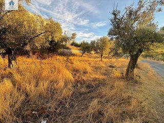 Terreno en venta en Zubia (La)