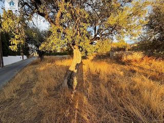 Terreno en venta en Zubia (La)