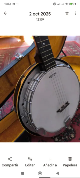 Banjo Japonés 70s