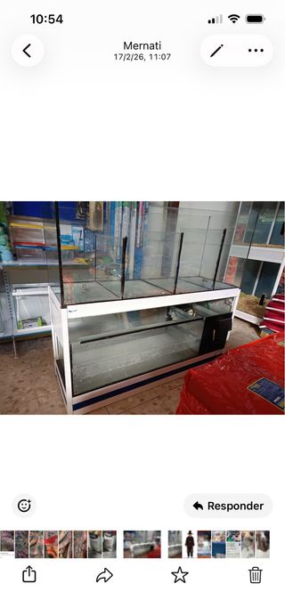 Pecera Doble Dividida