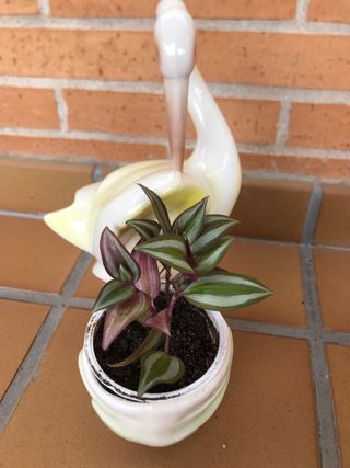 Figura o macetero cerámica