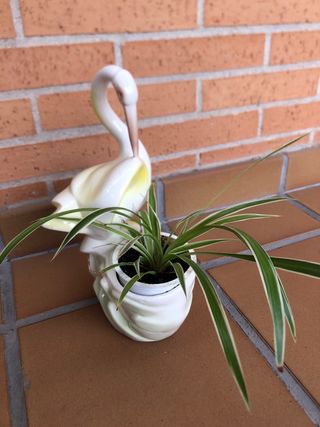 Figura o macetero cerámica