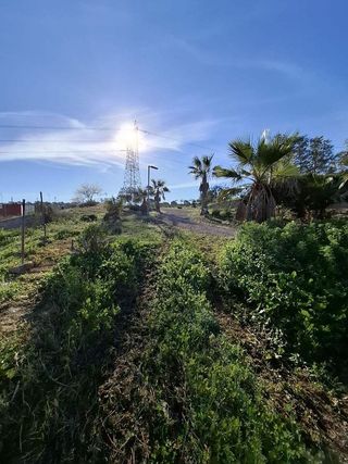 Terreno en venta en Rojales en Rojales