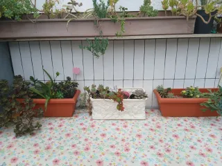 Azulejo cerámico blanco alargado