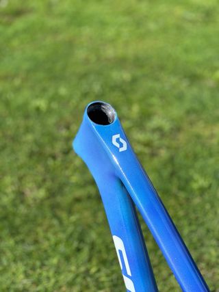 Cuadro Carbono Scott Scale.