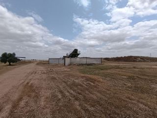 Terreno en venta en Daimiel