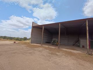 Terreno en venta en Daimiel