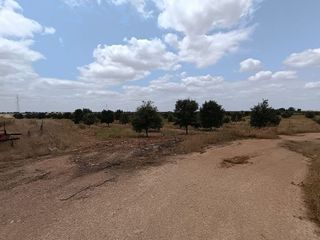 Terreno en venta en Daimiel