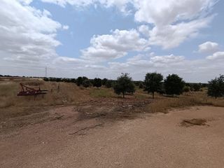 Terreno en venta en Daimiel