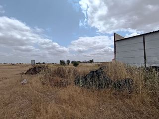 Terreno en venta en Daimiel