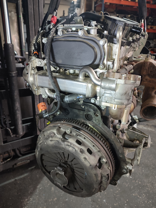 DESPIECE MOTOR IVECO DAILY FURGÓN Fg 33 S V Batal