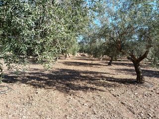 Terreno en venta en Gójar