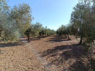 Terreno en venta en Gójar