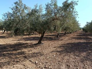 Terreno en venta en Gójar