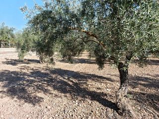 Terreno en venta en Gójar