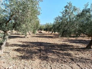 Terreno en venta en Gójar