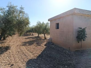 Terreno en venta en Gójar