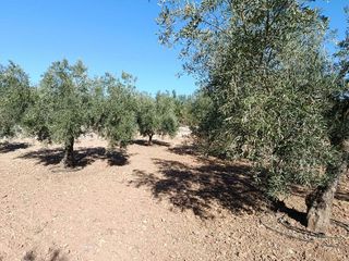 Terreno en venta en Gójar