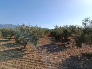 Terreno en venta en Gójar