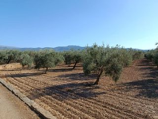 Terreno en venta en Gójar