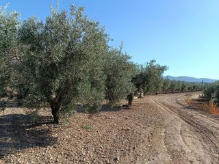 Terreno en venta en Gójar