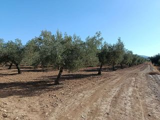 Terreno en venta en Gójar