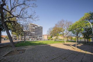 Local comercial en alquiler en Gorg - Pep Ventura en Badalona