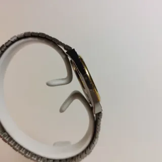 Orologio Pierre Bonnet Oro/Argento