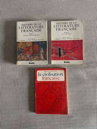 Lote de libros historia de la literatura francesa.