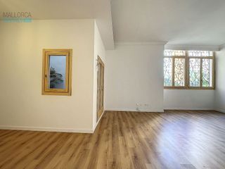 Piso en alquiler en La Seu - Cort - Monti-sión en Palma de Mallorca