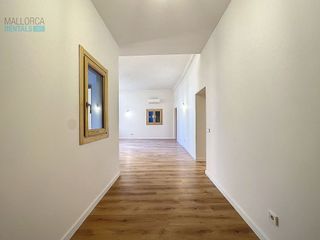 Piso en alquiler en La Seu - Cort - Monti-sión en Palma de Mallorca