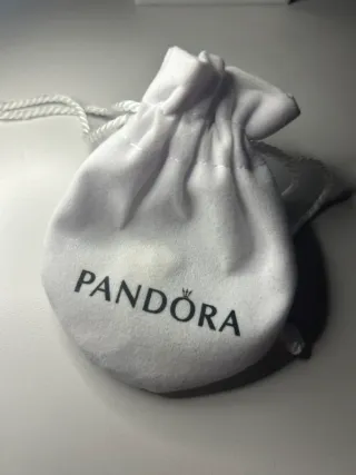 Charm Pandora Leone Argento