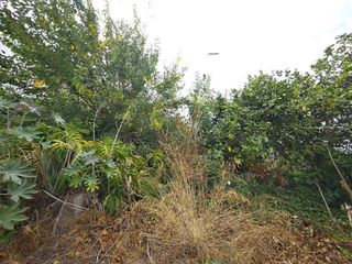 Solar en venta en San Roque en San Roque