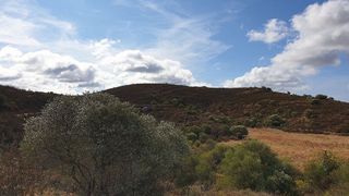 Terreno en venta en Ayamonte ciudad en Ayamonte