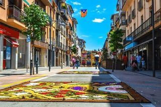 Piso en venta en Arbúcies