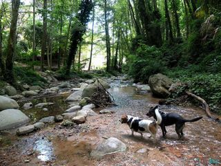 Piso en venta en Arbúcies