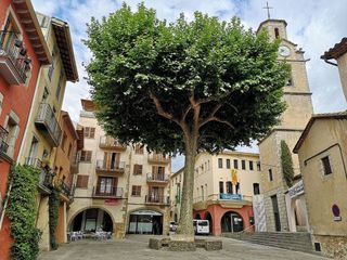 Piso en venta en Arbúcies