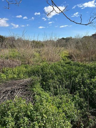 Terreno en venta en Migjorn en Reus