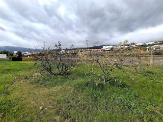 Casa rural en alquiler en Arafo